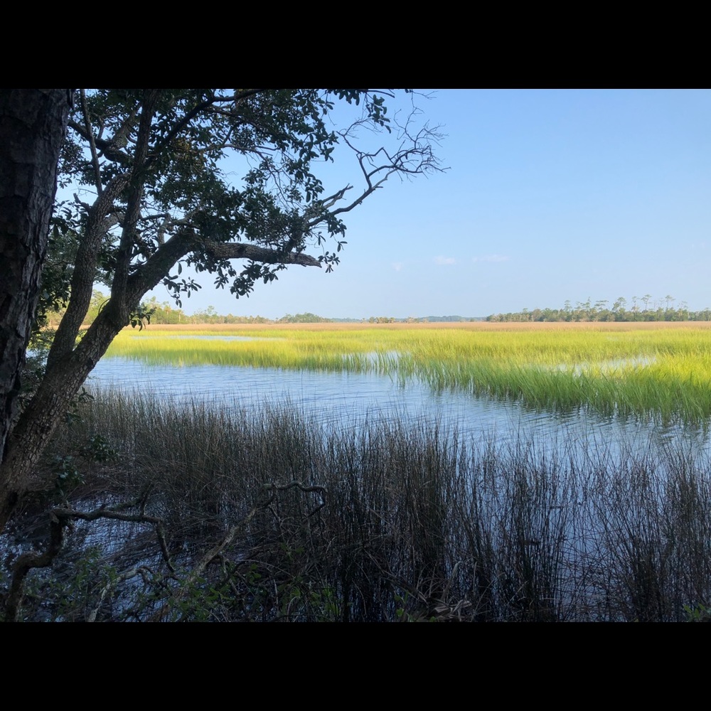 Meet your Posher, Evelyn